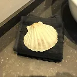 Casa Marina Daire *